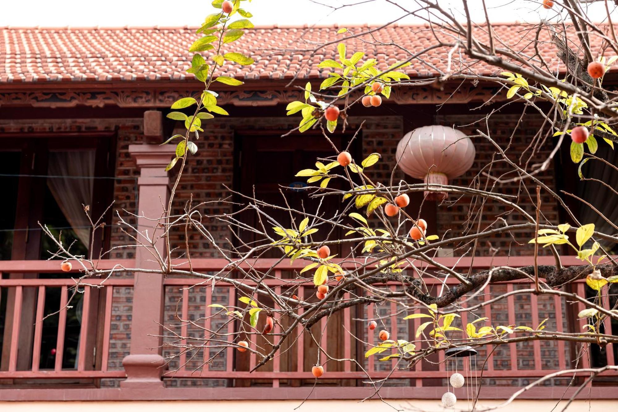 Tam Coc Ngoc Linh Bungalow Ninh Bình Extérieur photo